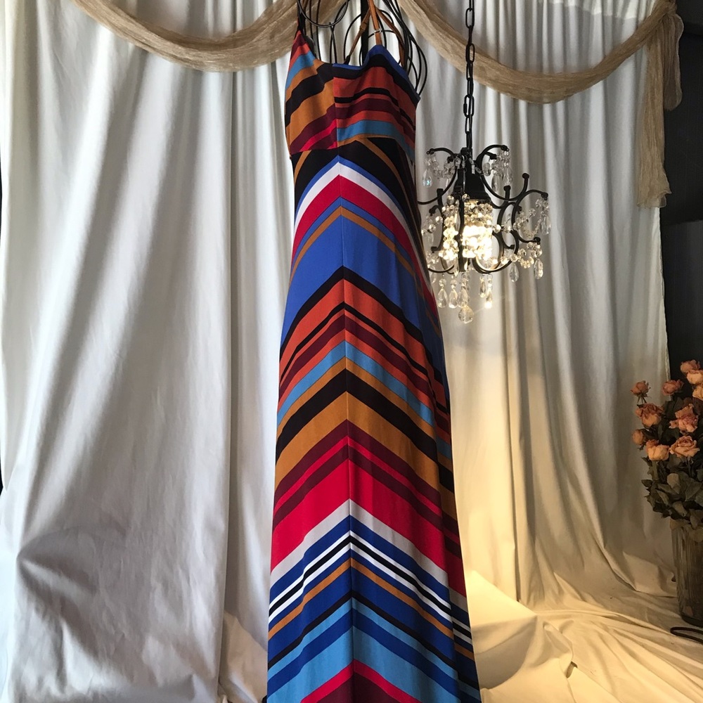 Calvin Cline Multi color Maxi Dress Size 4
